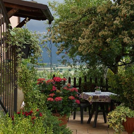 Agriturismo L'Ulivo In Fiore Spoleto Exterior foto