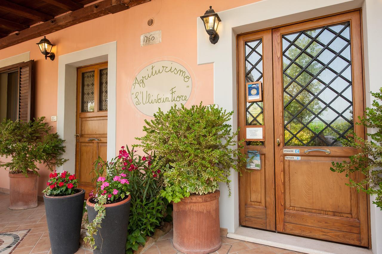 Agriturismo L'Ulivo In Fiore Spoleto Exterior foto